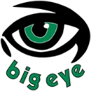 Big Eye logo