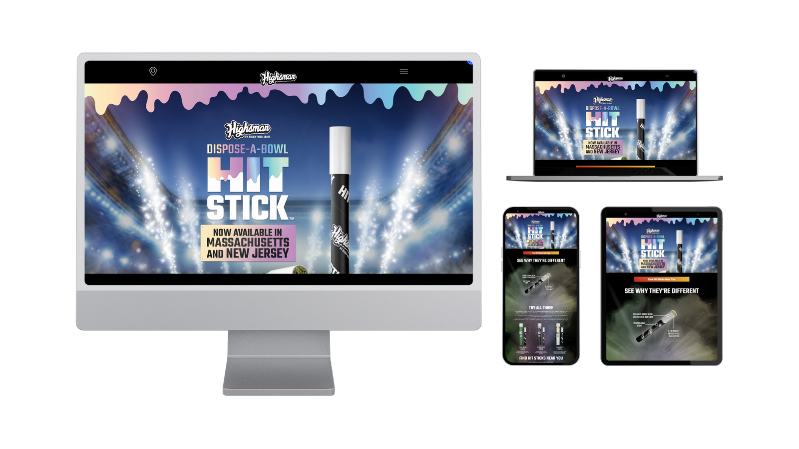 Web design project showcase